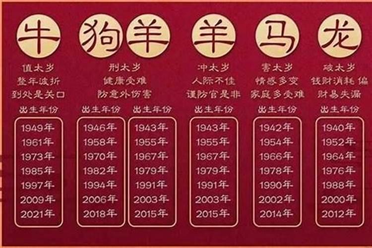 今年是2023年属什么年？