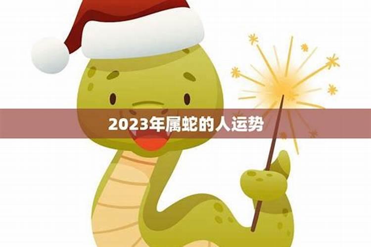 属蛇的人2025年运气怎么样？