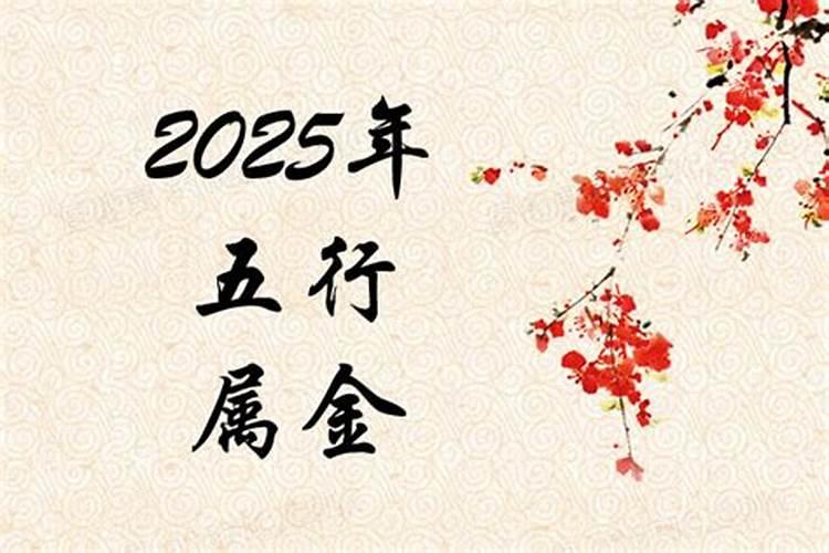 2025年属什么五行属性？