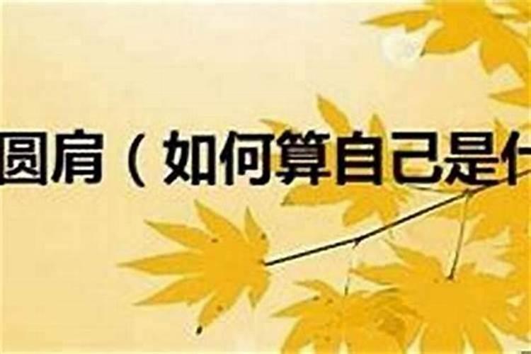 怎么算自己什么命？